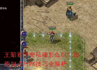 王昭君传奇私服怎么玩?技能加点与PK技巧全解析 王昭君传奇私服怎么玩?技能加点与PK技巧全解析