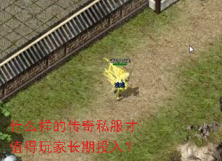 ʲô���Ĵ���˽����ֵ����ҳ���Ͷ�룿