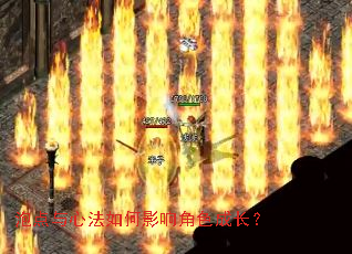 泡点与心法如何影响角色成长? 泡点与心法如何影响角色成长?