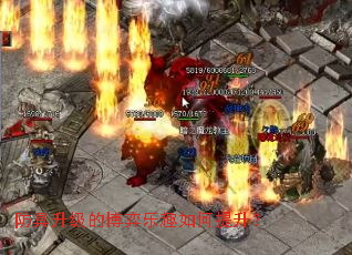 ���������Ĳ�����Ȥ���������