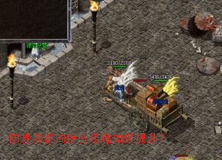 ���������Ĳ�����Ȥ���������