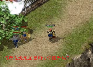 ��������β������ο���������