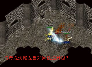 ��������β������ο���������