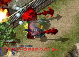 ��������β������ο���������