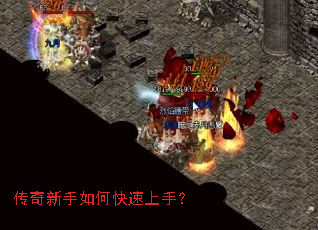 ����������ο������֣�