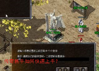 ����������ο������֣�