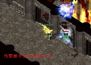 ����������ο������֣�