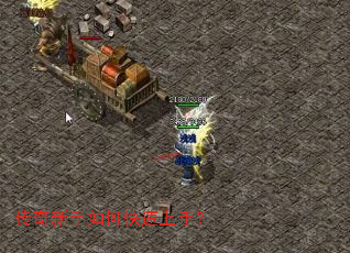 ����������ο������֣�