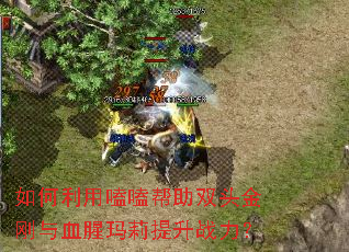 ��������ྰ���˫ͷ�����Ѫ����������ս����