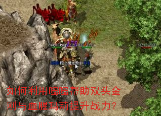 ��������ྰ���˫ͷ�����Ѫ����������ս����