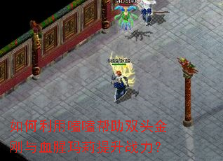 ��������ྰ���˫ͷ�����Ѫ����������ս����