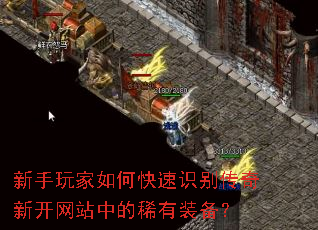 ���������ο���ʶ�����¿���վ�е�ϡ��װ����