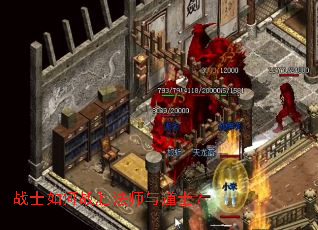 սʿ���սʤ��ʦ���ʿ��