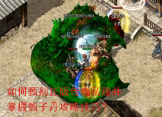 如何甄别正版传奇私服并掌握甄子丹攻略技巧? 如何甄别正版传奇私服并掌握甄子丹攻略技巧?