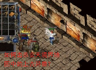 如何击杀玄天境界地图中的上古异兽? 如何击杀玄天境界地图中的上古异兽?