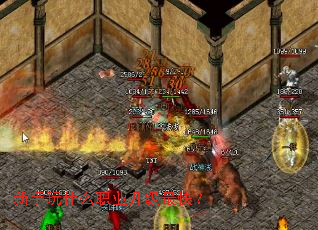 ������ʲôְҵ������죿