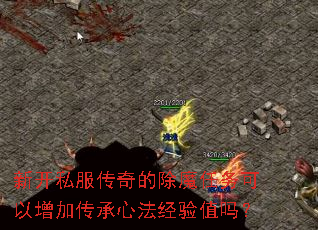 �¿�˽������ĳ�ħ����������Ӵ����ķ�����ֵ��