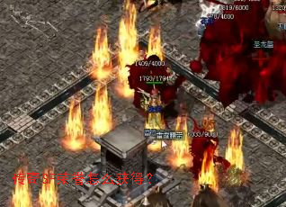 ����SF������ô��ã�