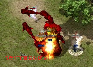 ����SF������ô��ã�