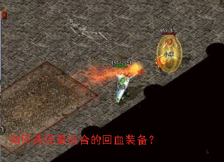 ���ѡ�����ʺϵĻ�Ѫװ����