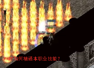 PKʱ��ξ�ͨ��ְҵ���ܣ�