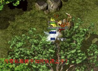 ����˽��������ο������֣�