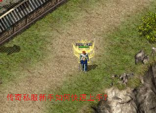 ����˽��������ο������֣�