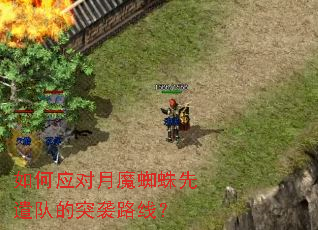 ���Ӧ����ħ֩����ǲ�ӵ�ͻϮ·�ߣ�