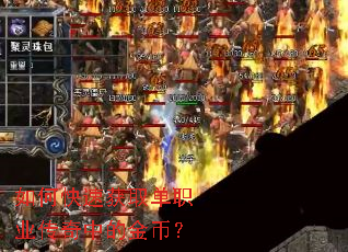 ��ο��ٻ�ȡ��ְҵ�����еĽ�ң�