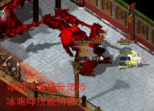 ��ο���������ʦ�����������˺���