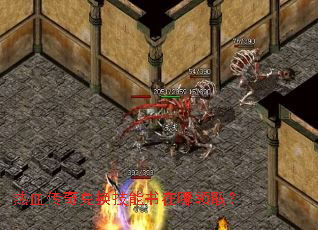 ��Ѫ����һ�������������ȡ��