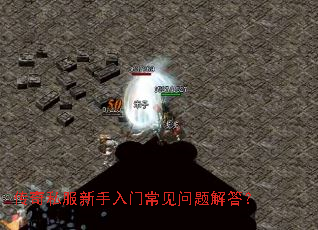 传奇私服新手入门常见问题解答? 传奇私服新手入门常见问题解答?