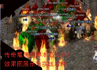 传奇雇佣兵脚本怎么用?效果图展示与实战攻略 传奇雇佣兵脚本怎么用?效果图展示与实战攻略