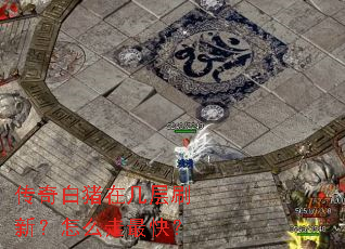 传奇白猪在几层刷新?怎么走最快? 传奇白猪在几层刷新?怎么走最快?