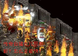 传奇白猪在几层刷新?怎么走最快? 传奇白猪在几层刷新?怎么走最快?