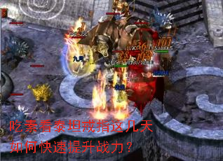 ���ؿ�̩̹��ָ�⼸����ο�������ս����