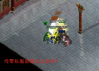 ����˽��ѫ����ô��ã�