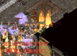 道士招多狗变态传奇攻略常见问题解答? 道士招多狗变态传奇攻略常见问题解答?