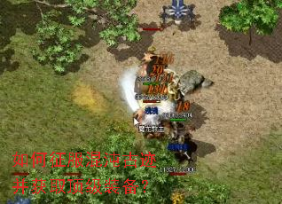 �����������ż�����ȡ����װ����