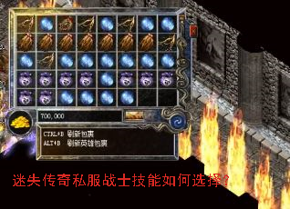 迷失传奇私服战士技能如何选择? 迷失传奇私服战士技能如何选择?