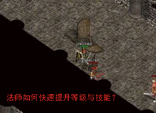 ��ʦ��ο��������ȼ��뼼�ܣ�