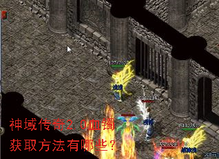 ������2.0Ѫ����ȡ��������Щ��