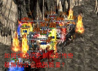 ��ο����������ɽ������ƽ�湫���Ա������