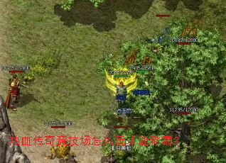 ��Ѫ���澺������ô����ܳưԣ�