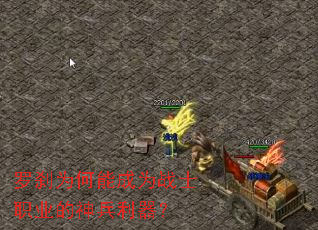 ��ɲΪ���ܳ�Ϊսʿְҵ�����������