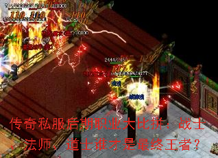 ����˽������ְҵ���ƴ��սʿ����ʦ����ʿ˭�����������ߣ�