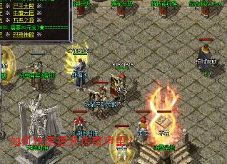 ��ο�����������������