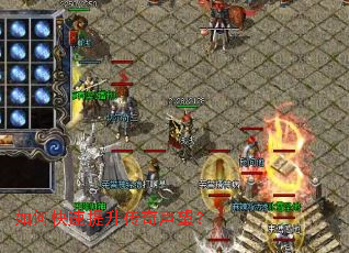 ��ο�����������������