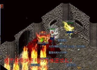 新手如何快速拜师并快速成长? 新手如何快速拜师并快速成长?