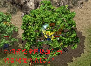 �������������Ѫ����װ������ϳɼ��ɣ�